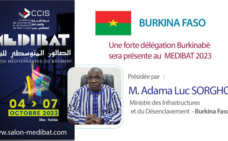  The Minister of Infrastructure and Opening up at the head of the Burkinabè delegation